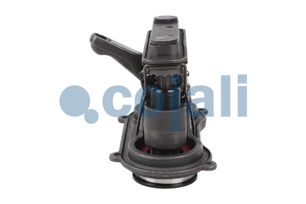 Cojali Remklauw revisie 6083002