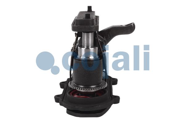 Cojali Remklauw revisie 6083004