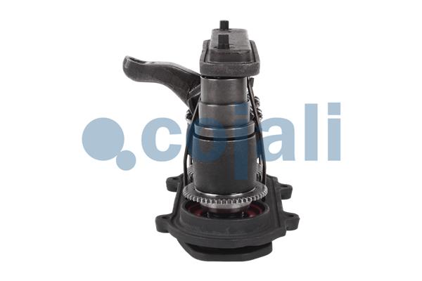 Cojali Remklauw revisie 6083004