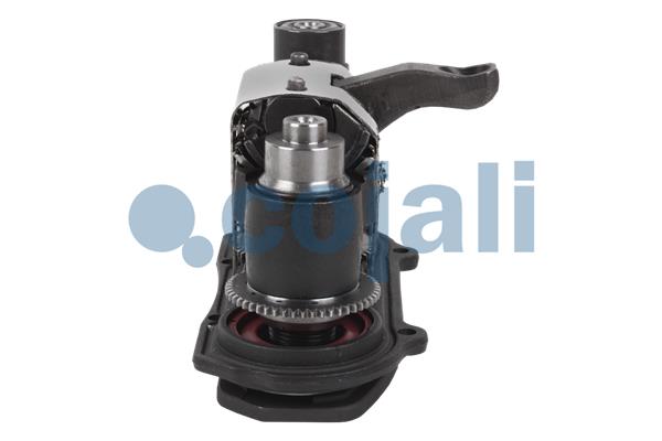 Cojali Remklauw revisie 6083006