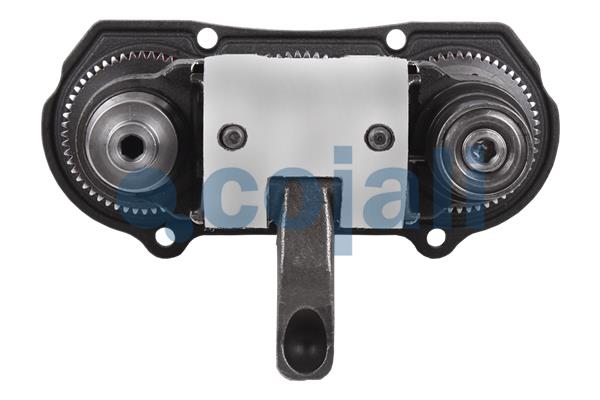 Cojali Remklauw revisie 6083006