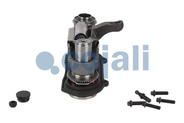 Cojali Remklauw revisie 6083008