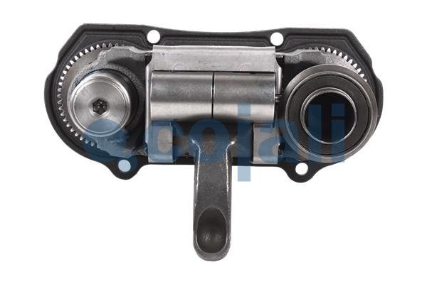 Cojali Remklauw revisie 6083008