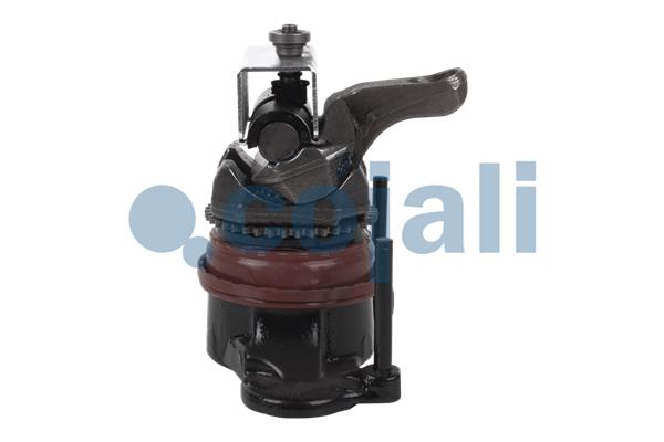 Cojali Remklauw revisie 6083010