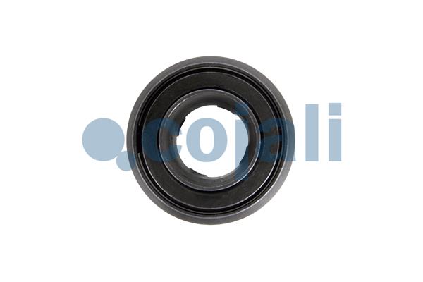 Cojali Remklauw revisie 6083012