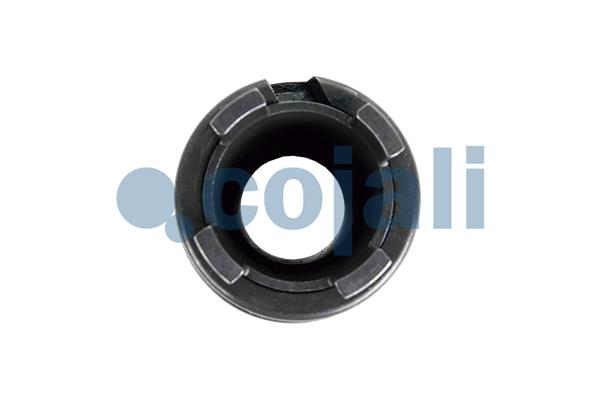 Cojali Remklauw revisie 6083012