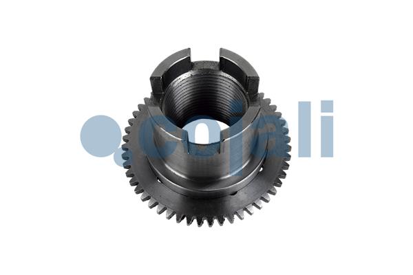 Cojali Remklauw revisie 6083013