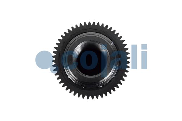 Cojali Remklauw revisie 6083014