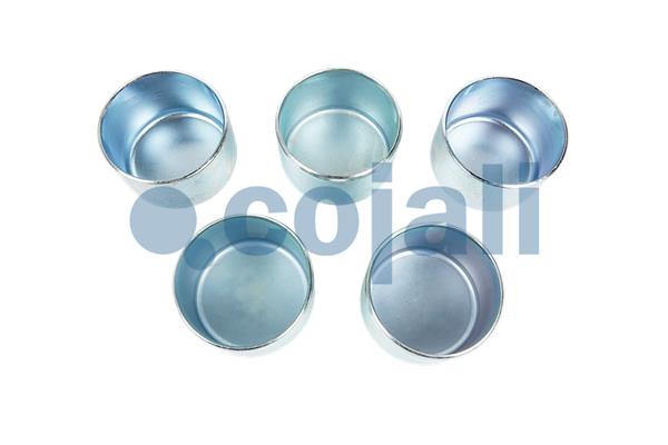 Remklauw revisie Cojali 6083027