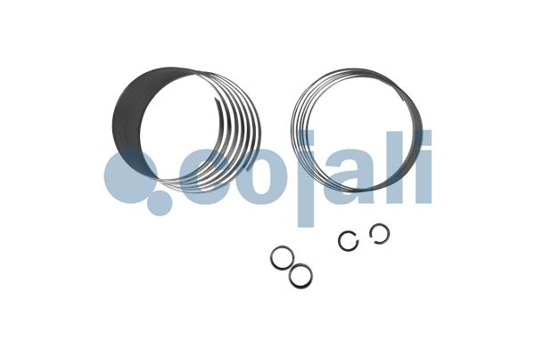 Cojali Remklauw revisie 6083033