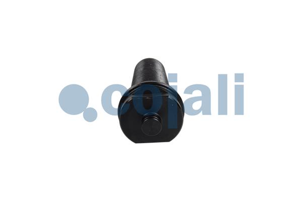 Cojali Remklauw revisie 6083040