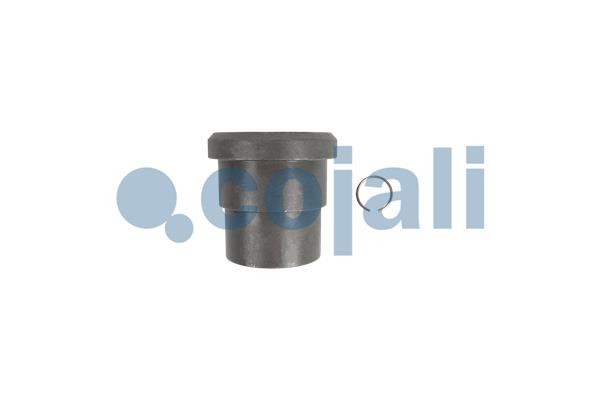 Cojali Remklauw revisie 6083041