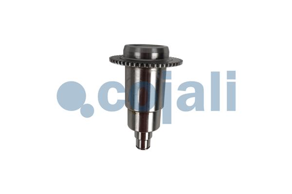 Cojali Remklauw revisie 6083042