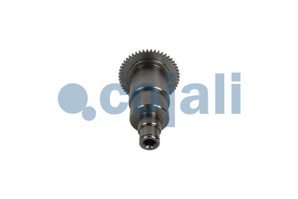 Cojali Remklauw revisie 6083042