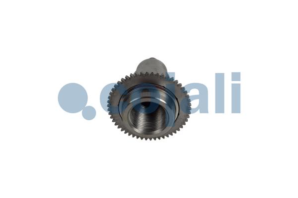 Cojali Remklauw revisie 6083042