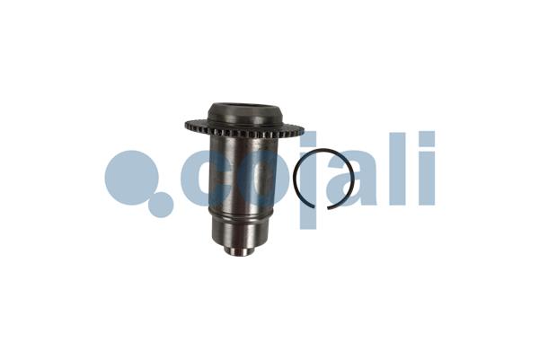 Cojali Remklauw revisie 6083043