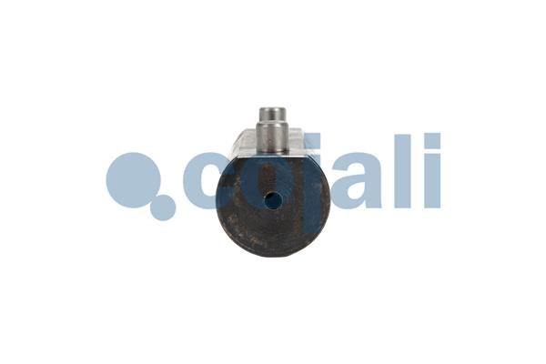 Cojali Remklauw revisie 6083046