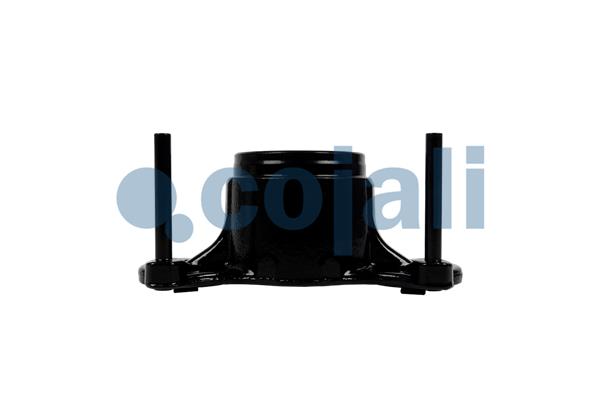 Cojali Remklauw revisie 6083054