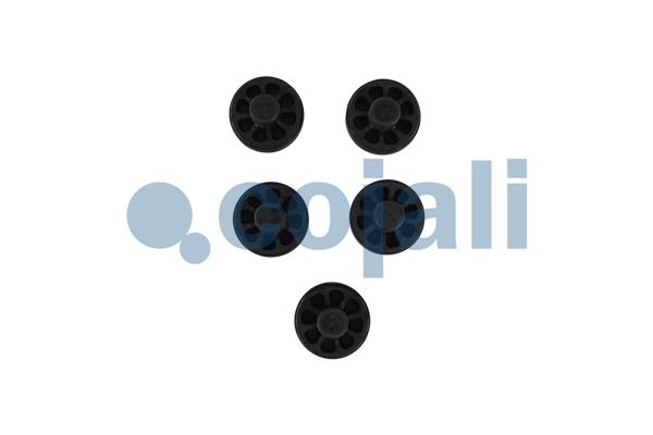 Cojali Remklauw revisie 6083060