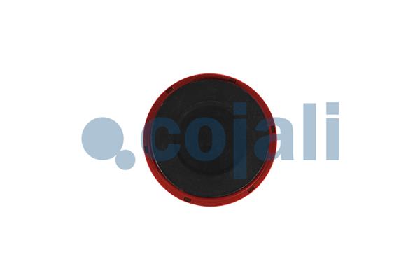 Cojali Remklauw revisie 6084001