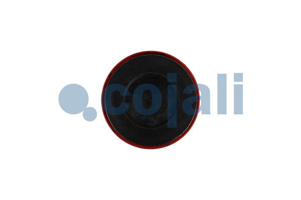 Cojali Remklauw revisie 6084002