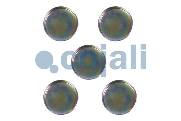 Cojali Remklauw revisie 6084008