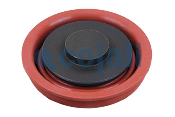 Cojali Remklauw revisie 6084011