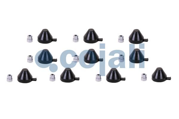 Cojali Remklauw revisie 6084013