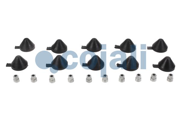 Remklauw revisie Cojali 6084023