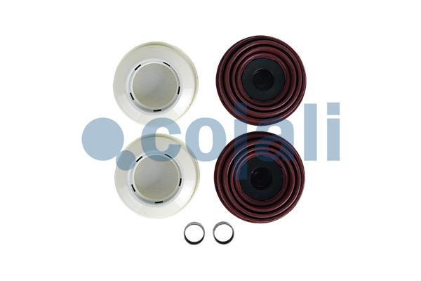 Remklauw revisie Cojali 6084036