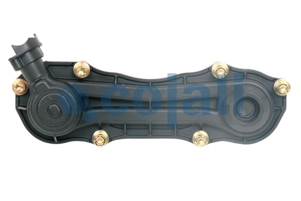 Cojali Remklauw revisie 6084526