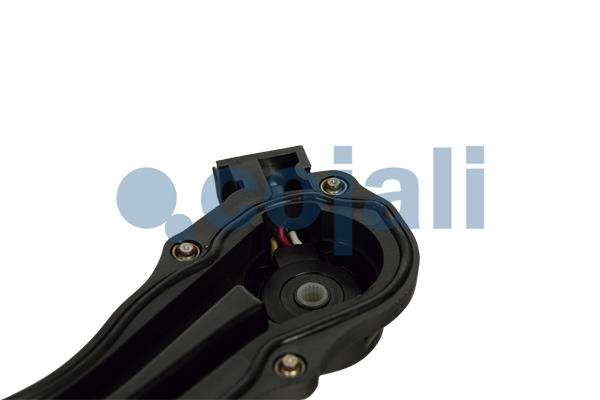 Cojali Remklauw revisie 6084528