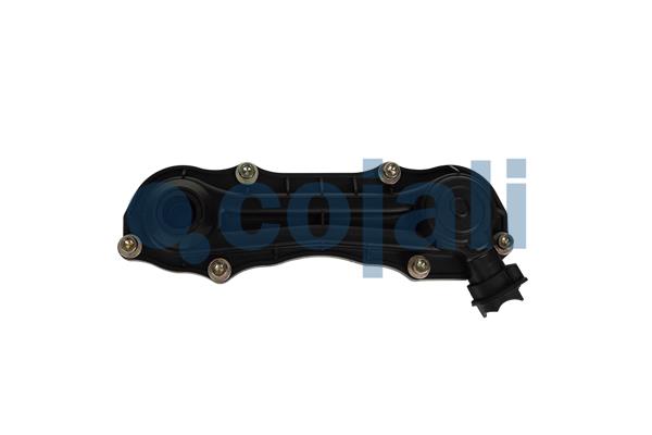 Cojali Remklauw revisie 6084529