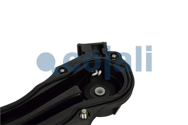 Cojali Remklauw revisie 6084529