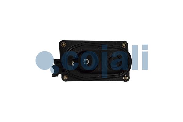 Cojali Remklauw revisie 6084536