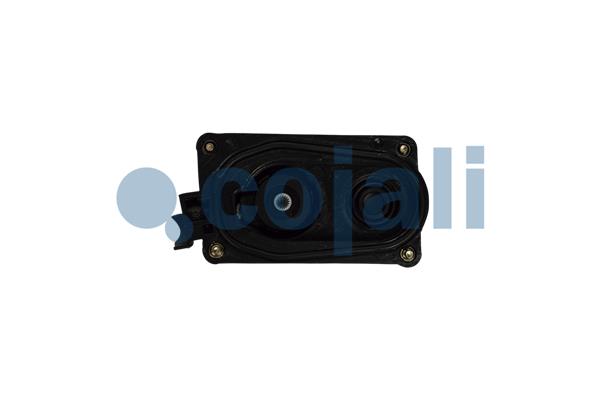 Cojali Remklauw revisie 6084538