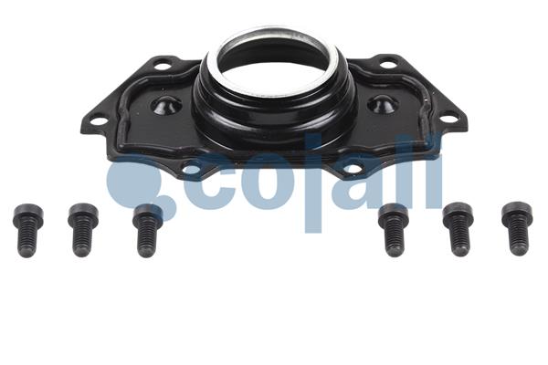 Remklauw revisie Cojali 6084539