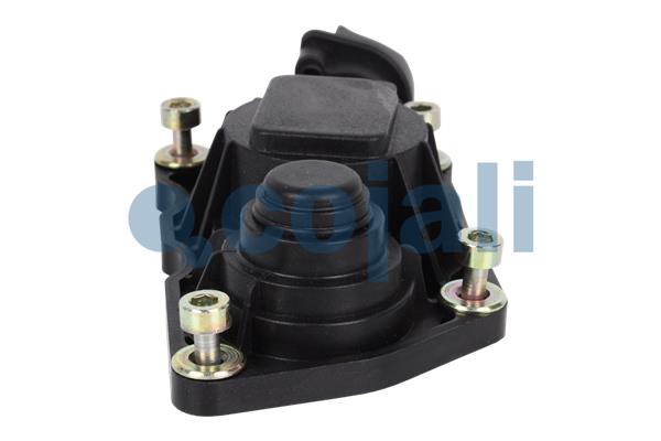 Cojali Remklauw revisie 6084544