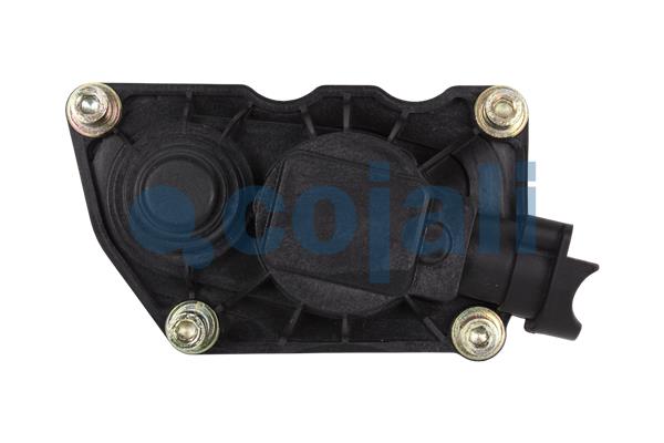 Cojali Remklauw revisie 6084544