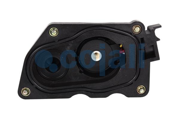 Cojali Remklauw revisie 6084544