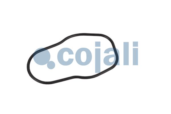 Cojali Remklauw revisie 6084545