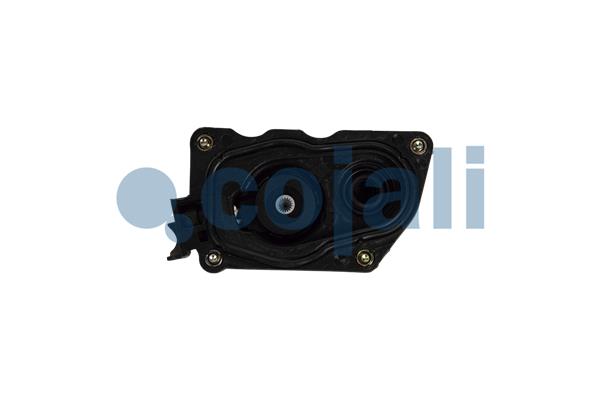 Cojali Remklauw revisie 6084545