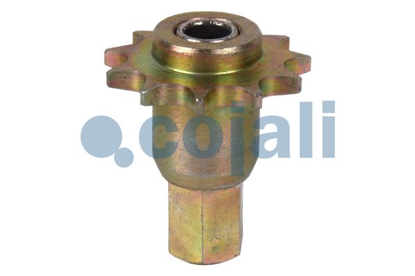 Cojali Remklauw revisie 6084546