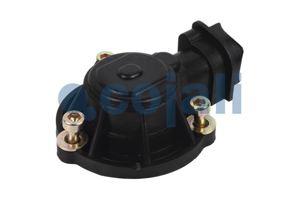 Cojali Remklauw revisie 6084559