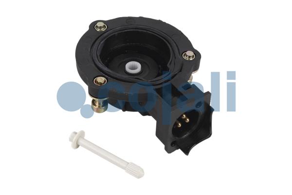 Cojali Remklauw revisie 6084560