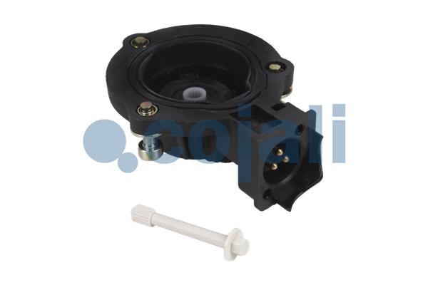 Cojali Remklauw revisie 6084561