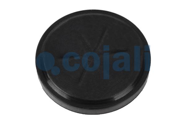 Cojali Remklauw revisie 6084563