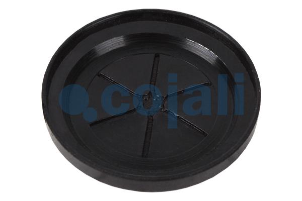 Cojali Remklauw revisie 6084563