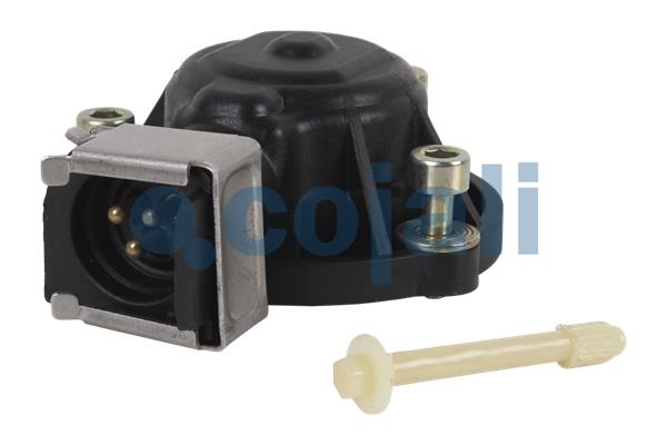 Cojali Remklauw revisie 6084569