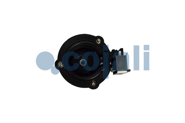 Cojali Remklauw revisie 6084569